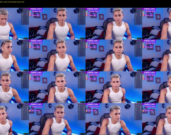 tomas_fox1