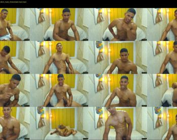teddyfit19cm