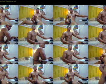teddyfit19cm