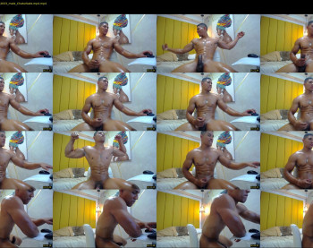 teddyfit19cm