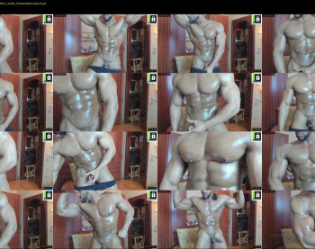 brandonhulk