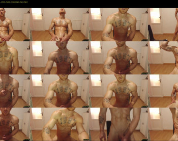 the_phoenixxx