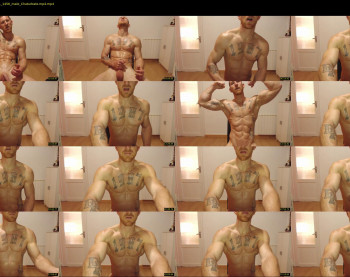the_phoenixxx