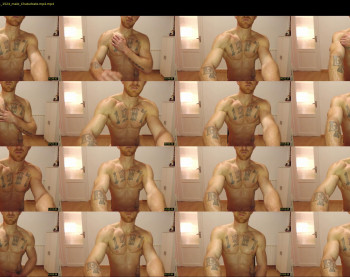 the_phoenixxx