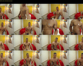 teddyfit19cm