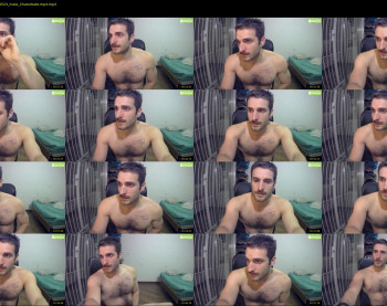osito_blanco