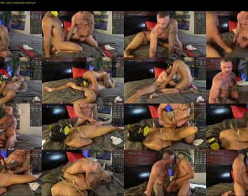 muscle_dog