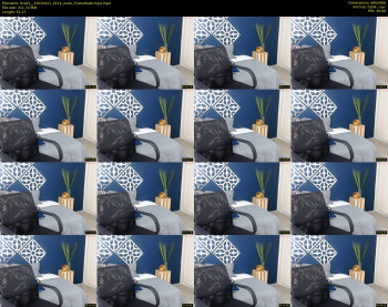 brad1_