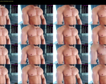 flex_x_x