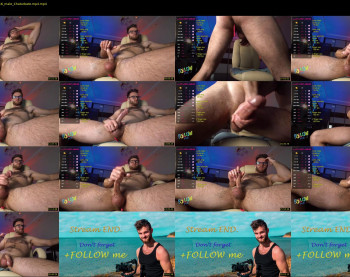 hot_bear_