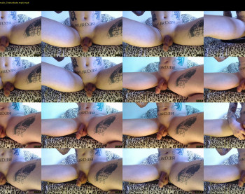 _layne