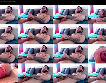 alphamatteo