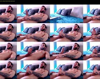 alphamatteo