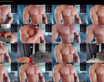 flex_x_x
