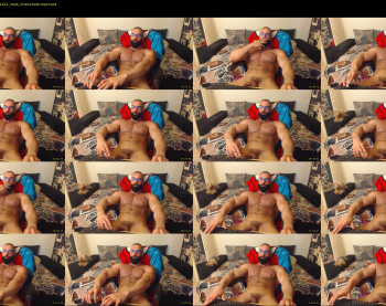 muscle0max