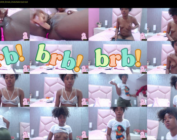 salome_walls