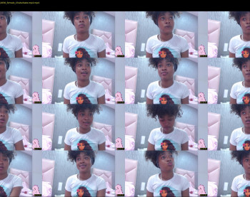 salome_walls