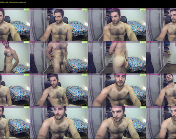osito_blanco