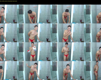 shawn_michaels2