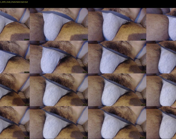 antonywebcam