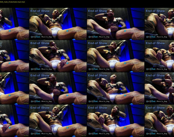 muscle_dog