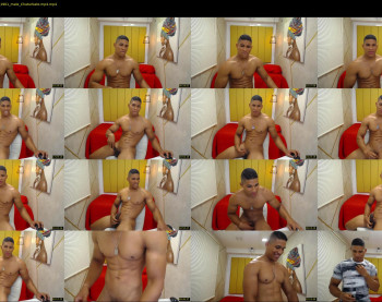 teddyfit19cm