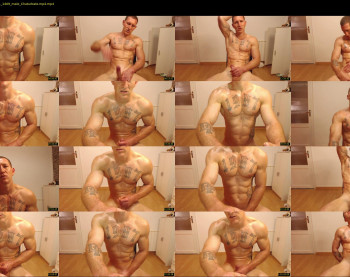 the_phoenixxx