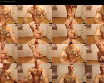 the_phoenixxx