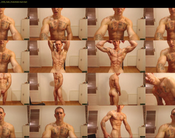 the_phoenixxx