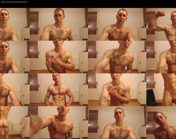 the_phoenixxx