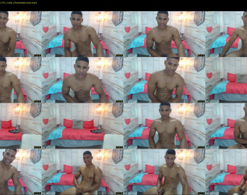 teddyfit19cm