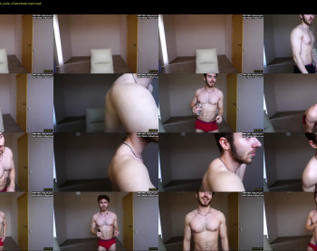 thefitdad