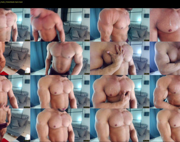 flex_x_x