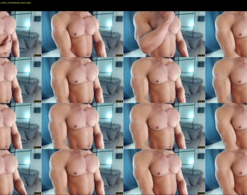 flex_x_x