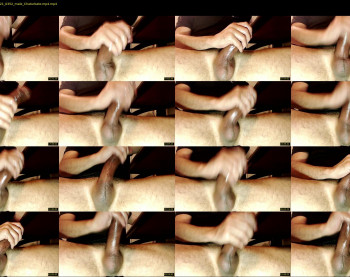hornybigdog666
