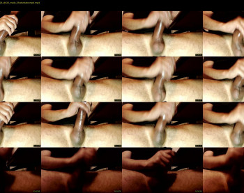 hornybigdog666