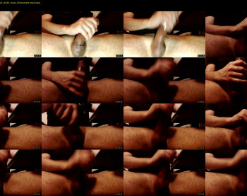 hornybigdog666