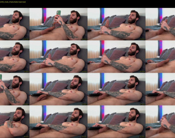 alphamatteo