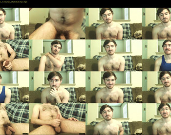 curious_otter21