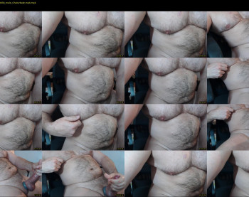jimbeefbear