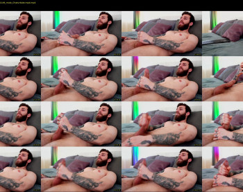 alphamatteo