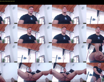 brankosilva