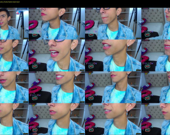 ash_v