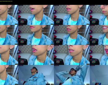ash_v