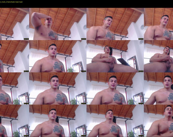branko_s