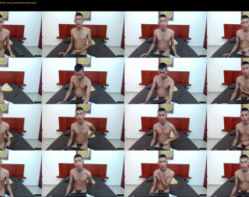 skynni_tastic
