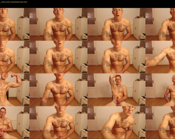 the_phoenixxx