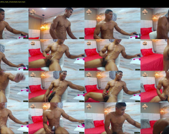teddyfit19cm