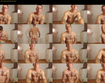the_phoenixxx