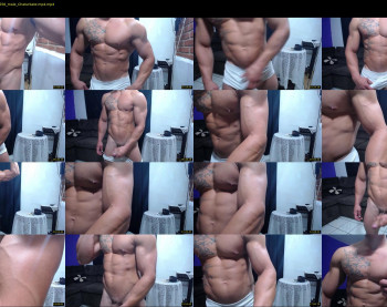 bestmuscle